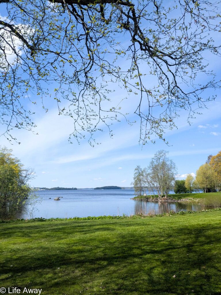 Tampere arboretum with lake view
